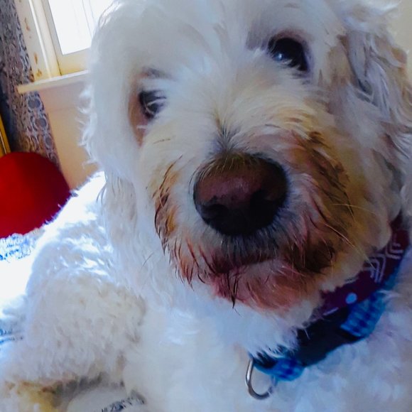 Meet the Posher! - Picture 15 of 16